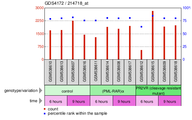 Gene Expression Profile