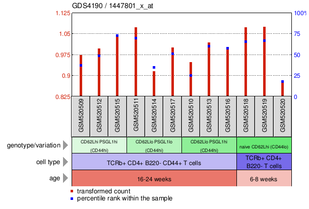 Gene Expression Profile