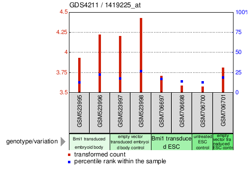 Gene Expression Profile