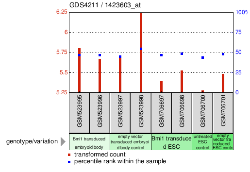 Gene Expression Profile