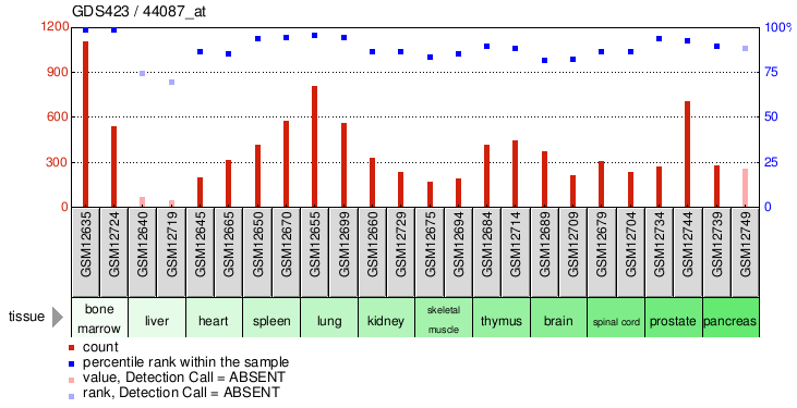 Gene Expression Profile