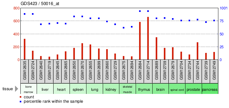 Gene Expression Profile