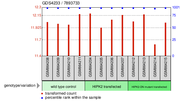 Gene Expression Profile