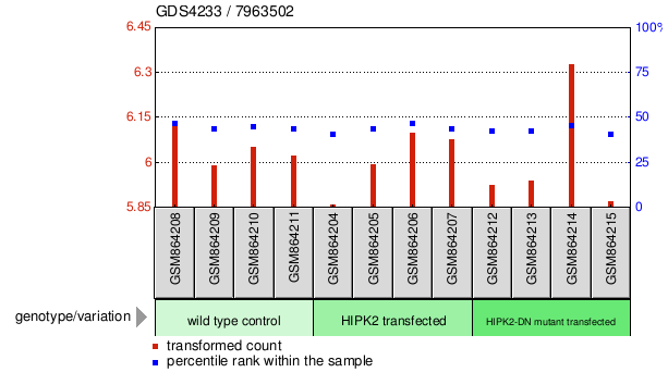 Gene Expression Profile