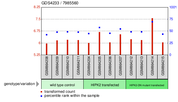 Gene Expression Profile