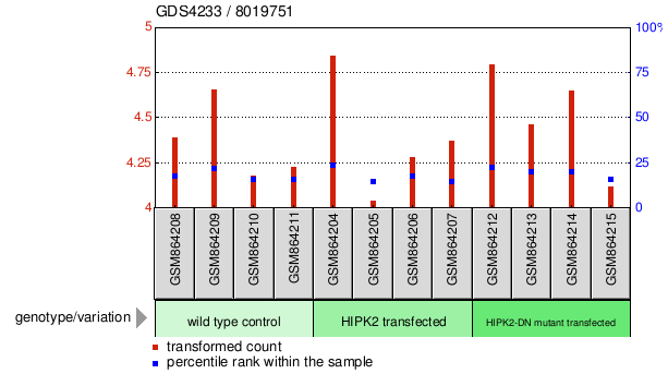 Gene Expression Profile