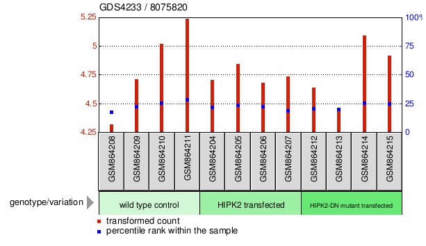 Gene Expression Profile