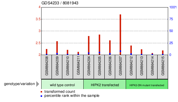 Gene Expression Profile