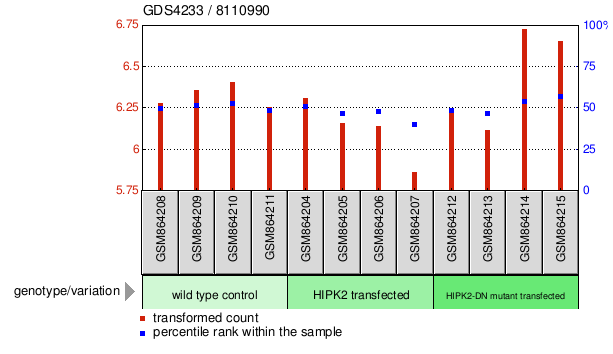 Gene Expression Profile