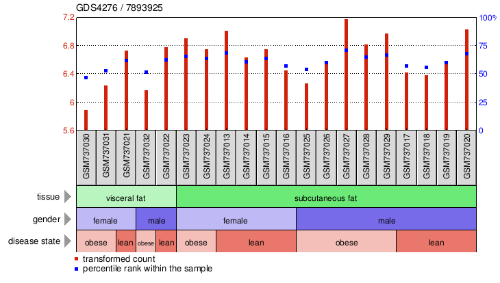 Gene Expression Profile