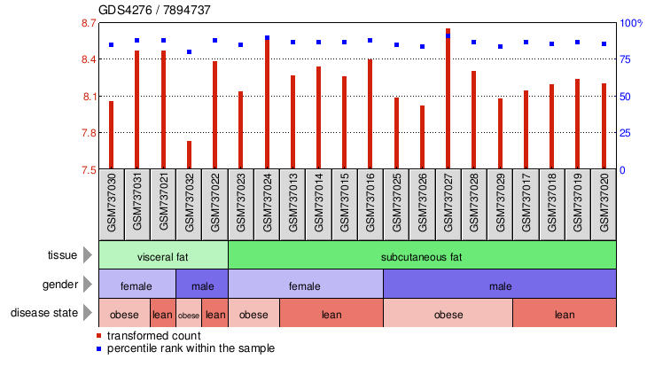 Gene Expression Profile