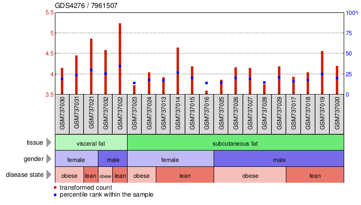 Gene Expression Profile