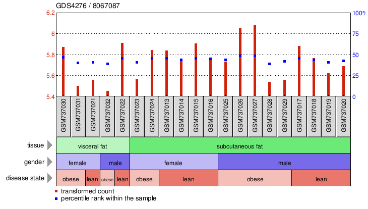 Gene Expression Profile