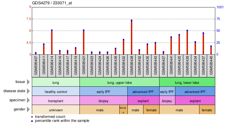 Gene Expression Profile