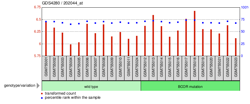 Gene Expression Profile