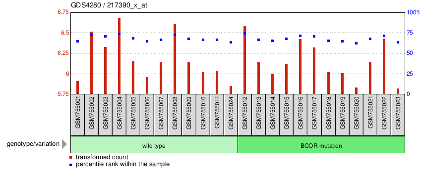 Gene Expression Profile