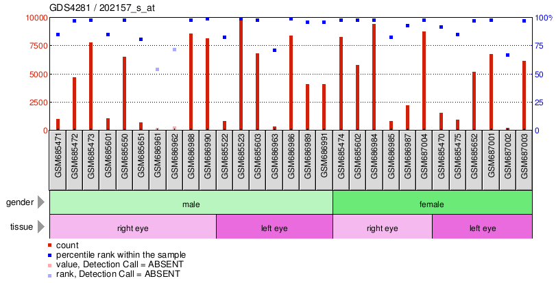 Gene Expression Profile