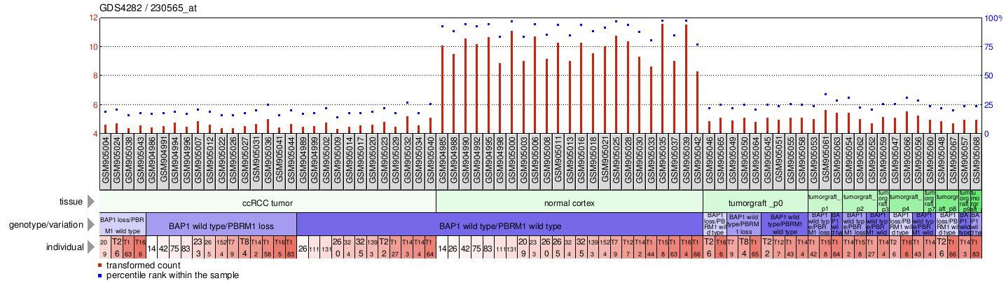 Gene Expression Profile