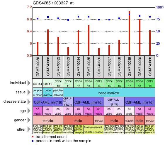 Gene Expression Profile