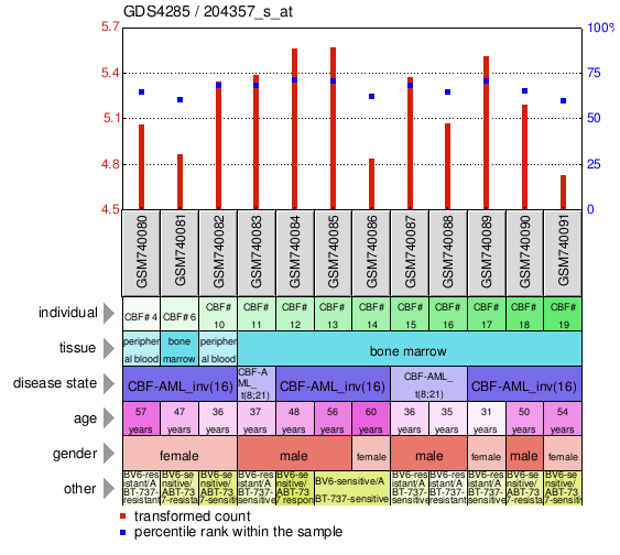 Gene Expression Profile