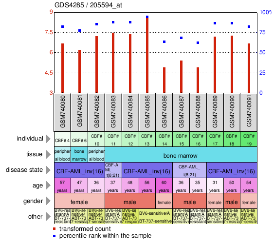 Gene Expression Profile