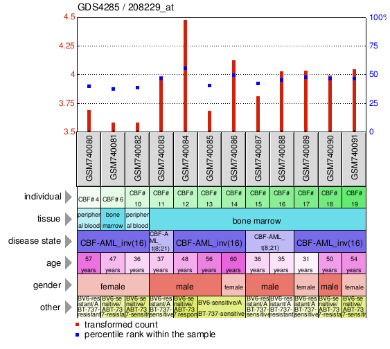 Gene Expression Profile