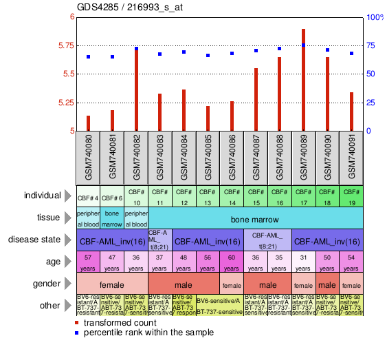 Gene Expression Profile