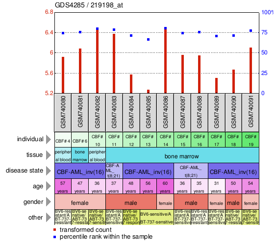 Gene Expression Profile