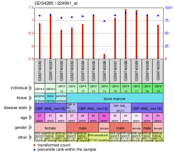 Gene Expression Profile