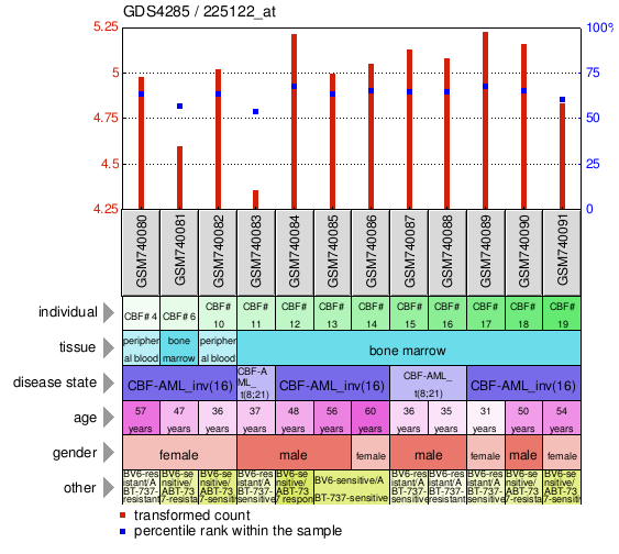 Gene Expression Profile