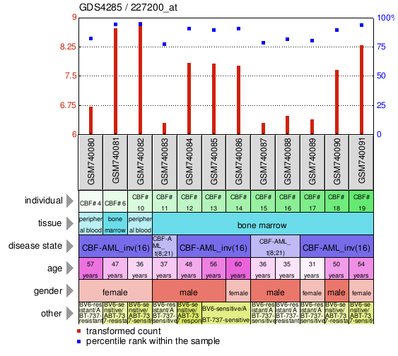 Gene Expression Profile