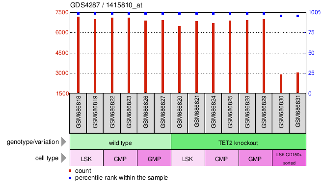 Gene Expression Profile