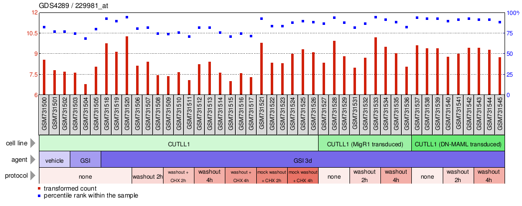 Gene Expression Profile