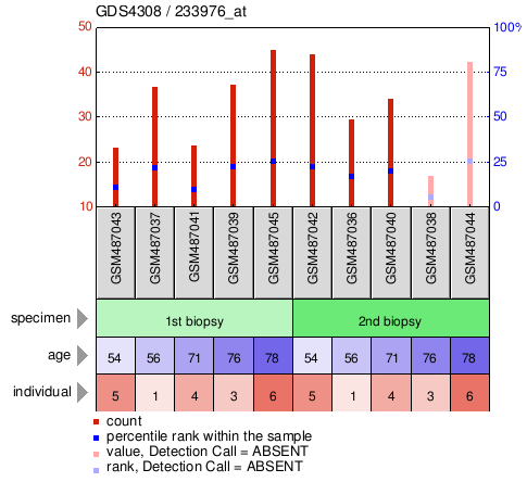 Gene Expression Profile