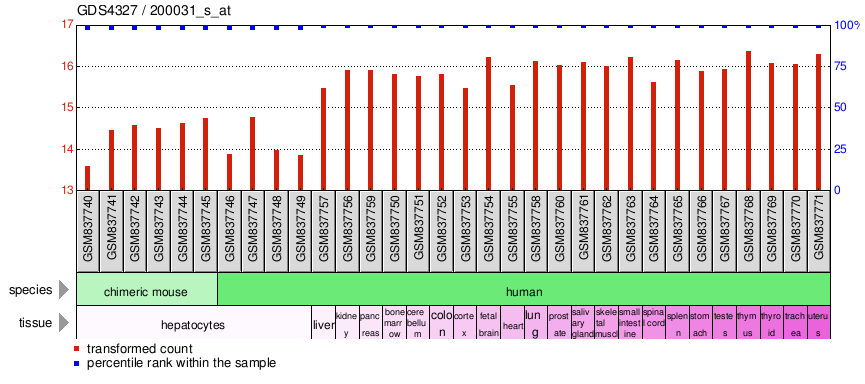 Gene Expression Profile