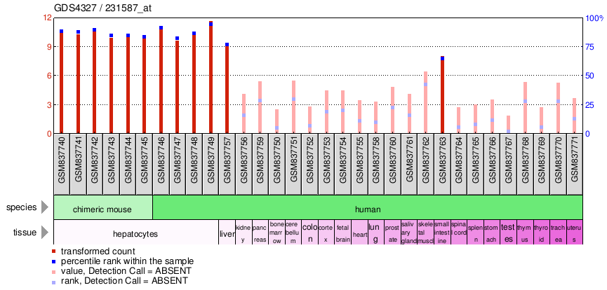 Gene Expression Profile