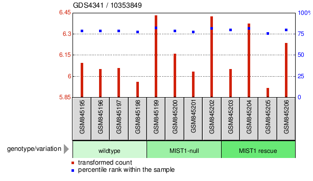 Gene Expression Profile