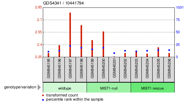 Gene Expression Profile