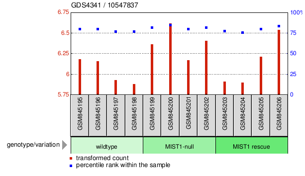 Gene Expression Profile