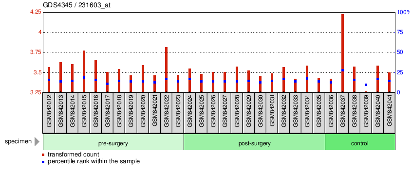 Gene Expression Profile