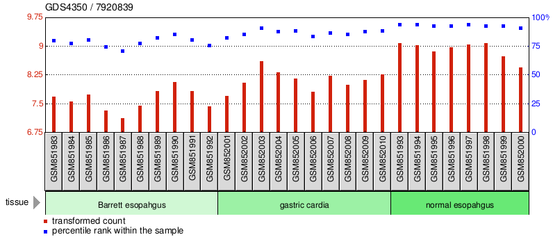 Gene Expression Profile