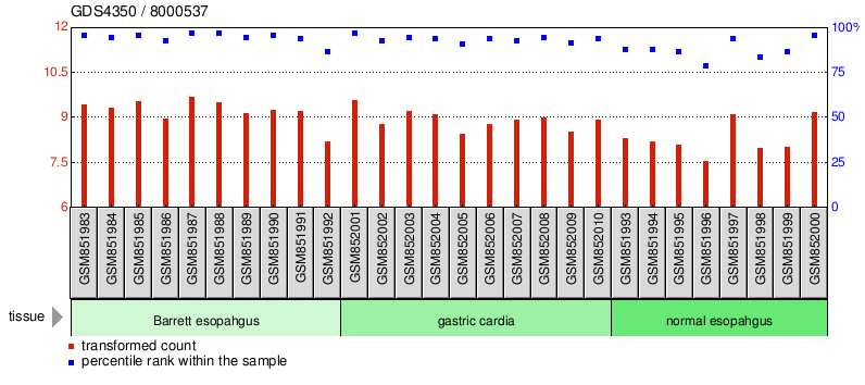 Gene Expression Profile