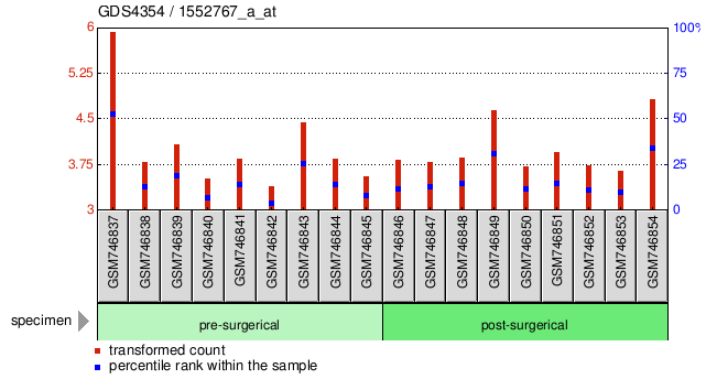 Gene Expression Profile