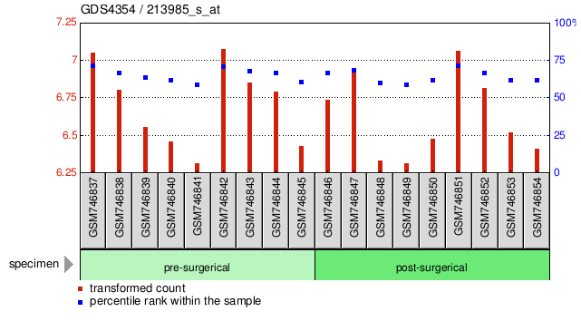 Gene Expression Profile