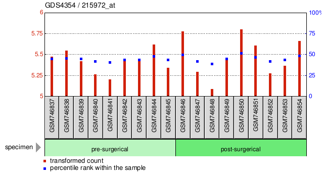 Gene Expression Profile