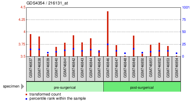 Gene Expression Profile