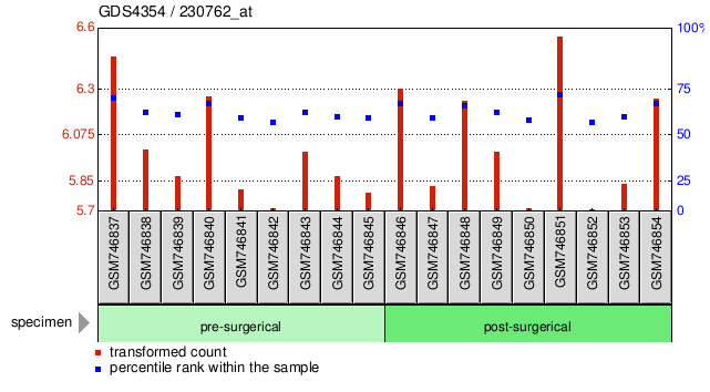 Gene Expression Profile