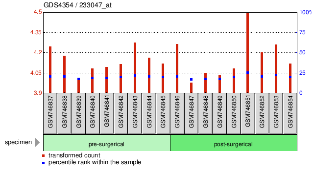 Gene Expression Profile