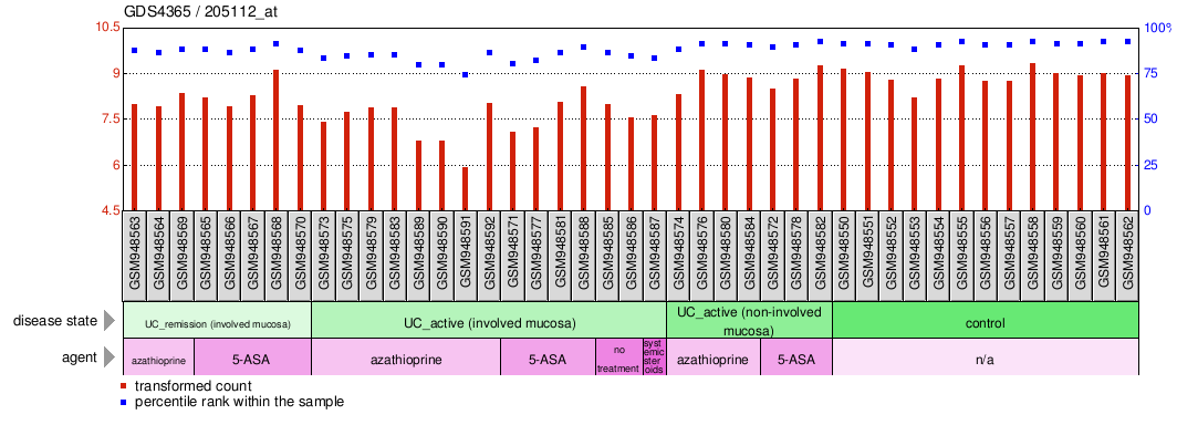 Gene Expression Profile