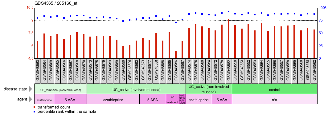 Gene Expression Profile